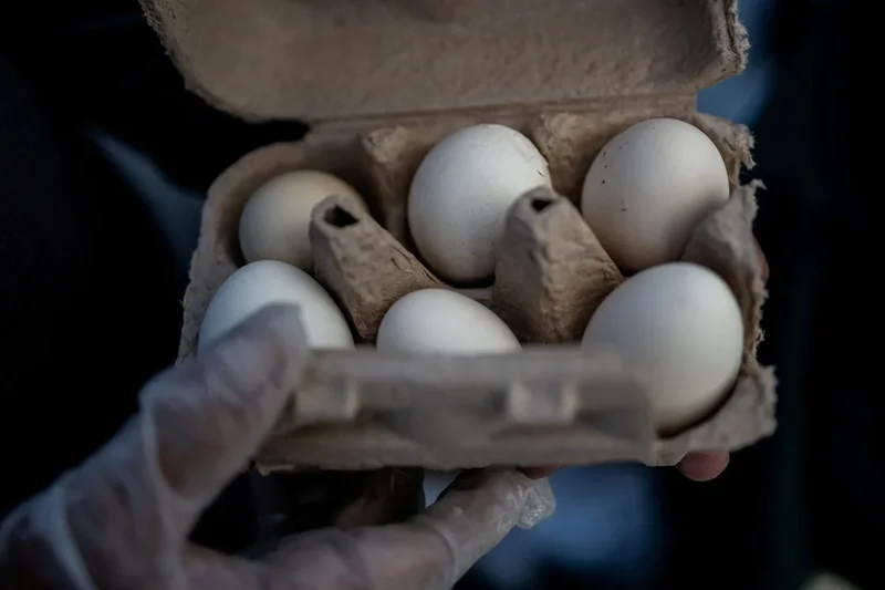 1.6 million eggs recalled over health fears as stomach illness cases surge across America