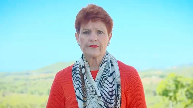 Pauline Hanson loses appeal over tweet