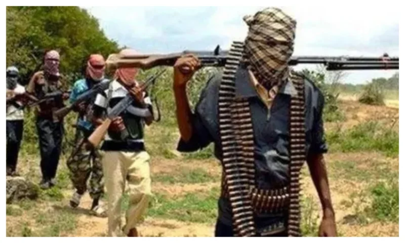 Bandits raid Zamfara polytechnic rector’s residence, kill guard, abduct other residents