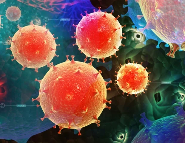 Dengue virus infects memory B cells to evade immune defenses