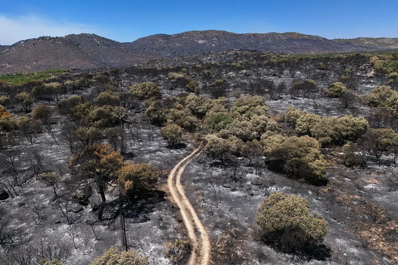 Europe is on fire - will the continent’s climate change deniers finally wake up?