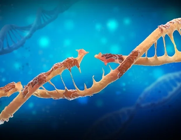 Study links inherited genetics to cancer susceptibility and progression