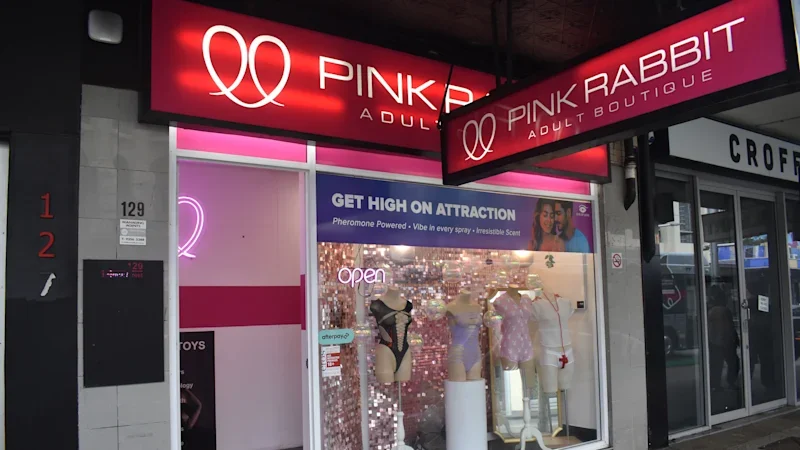 ‘Perhaps consider Northbridge’: Perth CBD adult store’s sex-on-premises plans knocked back
