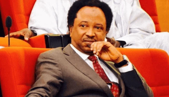 Violent thugs murder residents, snatch phones in Kano – Shehu Sani recounts experience