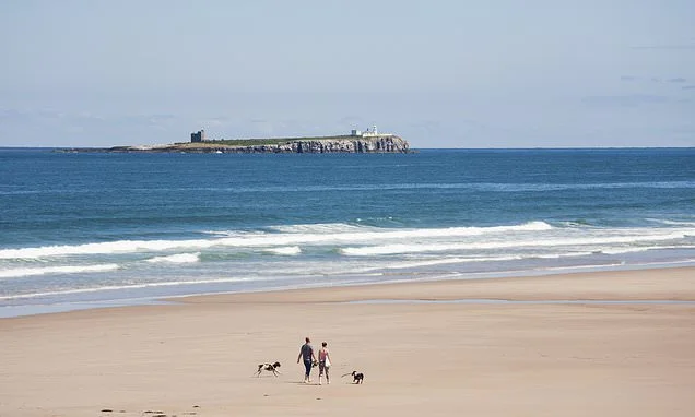 Why Bamburgh keeps being crowned Britain's best seaside town - with wild dunes, a castle and no crowds