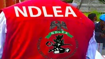 NDLEA uncovers suspected drug warehouse, arrests couple in Edo