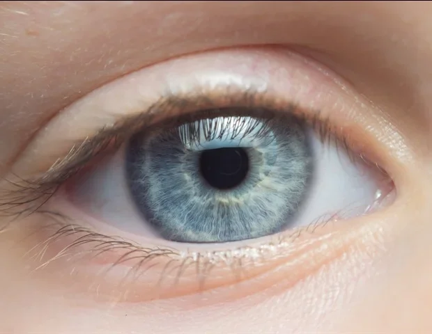 Eye contact synchronizes brainwaves to help infants learn language