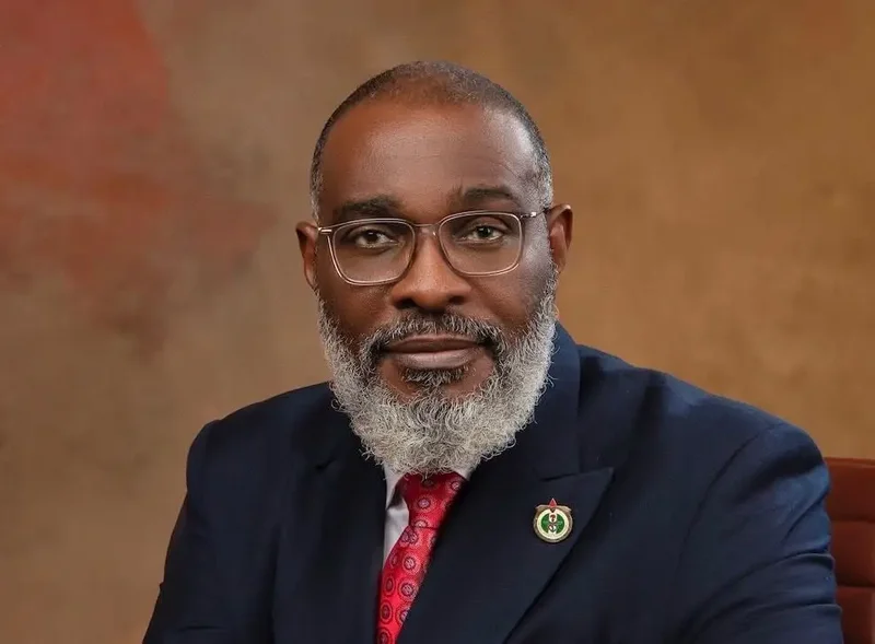 Tinubu’s homeland security adviser unveils four security priorities
