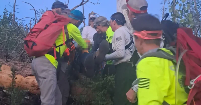 Man, 83, who went missing near Grand Canyon rescued after overnight search
