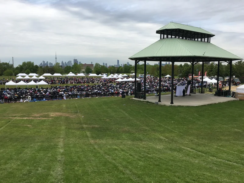 Afrofest 2026 cancelled due to capacity concerns