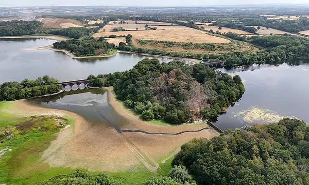 LIBBY PURVES: As drought is declared in half of England... why revulsion of petty officialdom and corrupt water barons is driving the Great Hosepipe Ban Rebellion