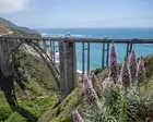 Police say alcohol withdrawal caused woman’s death in California backcountry