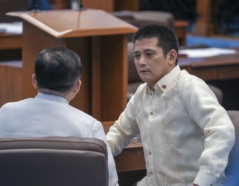 Padilla, Tulfo, Cayetano lead Senate survey