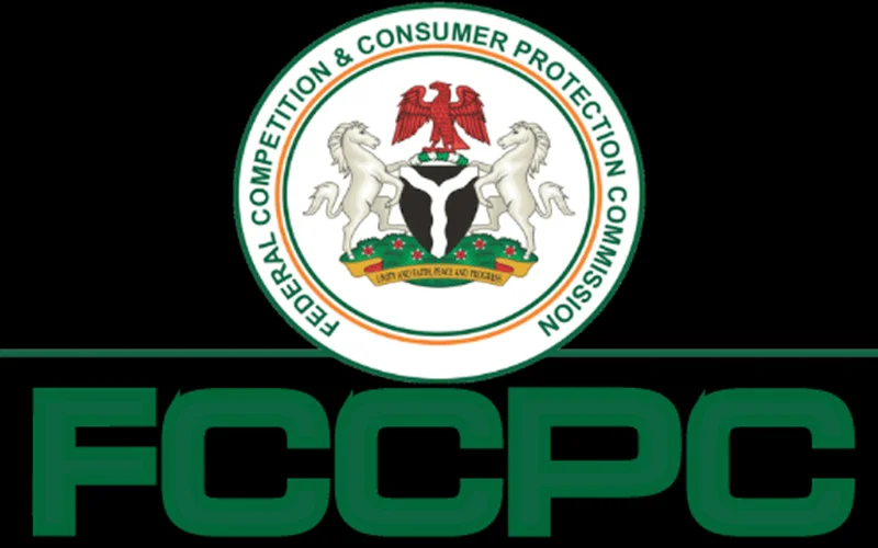 State electricity markets risk losing investors without harmonised regulations – FCCPC