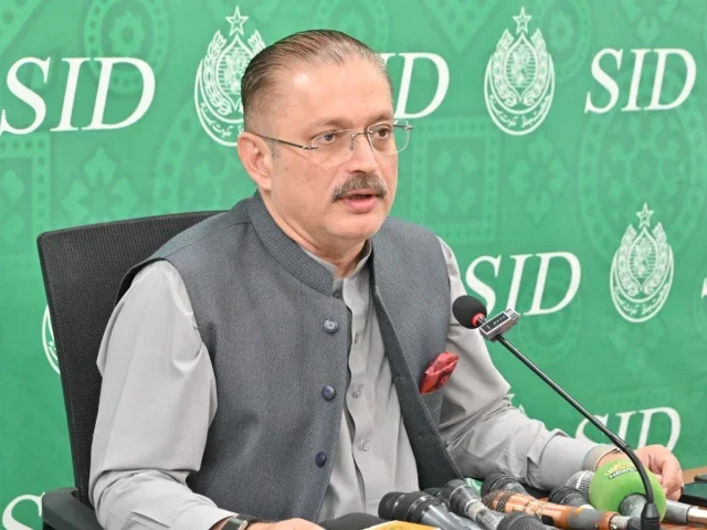 Kashmiris to decide Kashmir's fate: Sharjeel