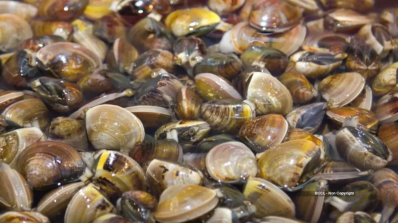 Zebra mussels spread across all Great Lakes within a decade of arriving in 1988
