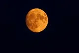 The 2026 Buck Moon Will Rise This Week, Coinciding with Three Active Meteor Showers