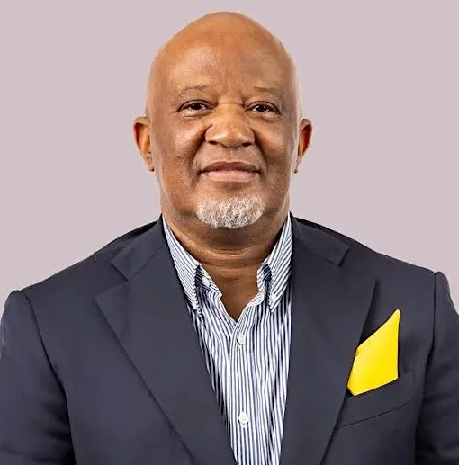 South Africa: Turning a crisis into a continental conversation on migration and Africa’s future, By Mcebisi Jonas