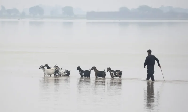 22 revenue estates in Punjab's Multan district partially submerged under floodwaters