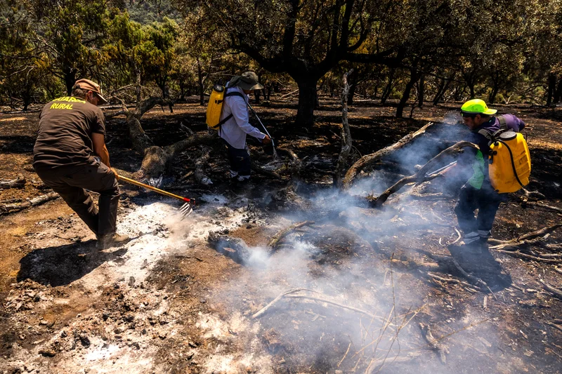 A day with a firefighting crew in Madrid: ‘The firefighters can’t keep up; last night there were three new fires’