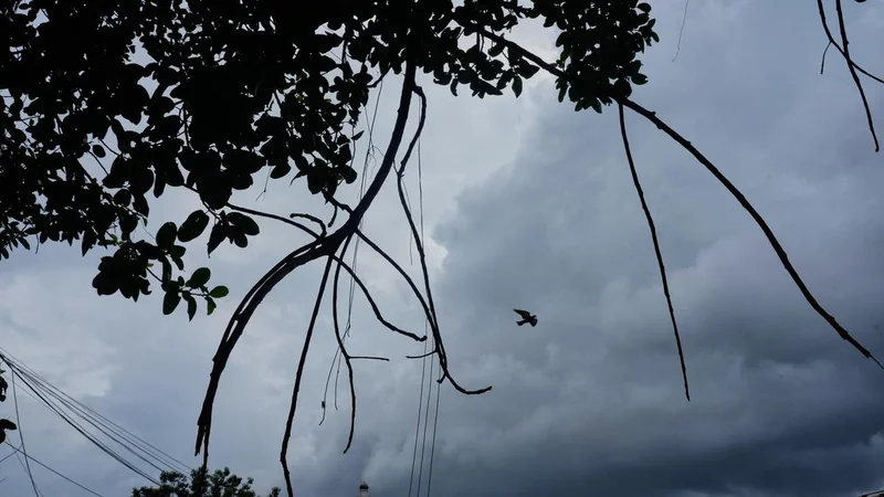 Deep depression over Bay of Bengal to bring very heavy rainfall over south Bengal districts, says IMD