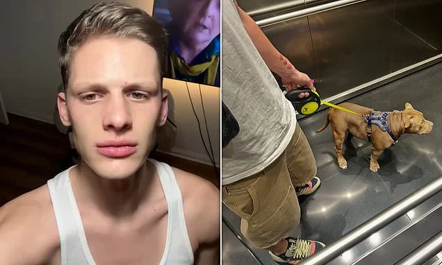 Freddy Brazier says he is desperate to get his dog Pablo back after he ripped a hole in his arm but his family have refused to house him