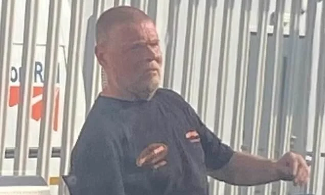 Hunt launched after lone woman 'is sexually assaulted on train'