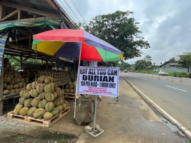 Eat-all-you-can durian for P100 draws crowds to Bukidnon stalls