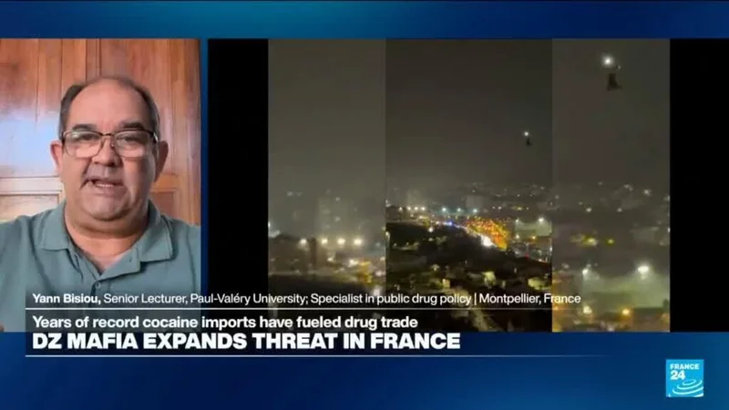 Is DZ Mafia a French drug cartel, an illicit 'brand', or a drug trafficking 'franchise'?