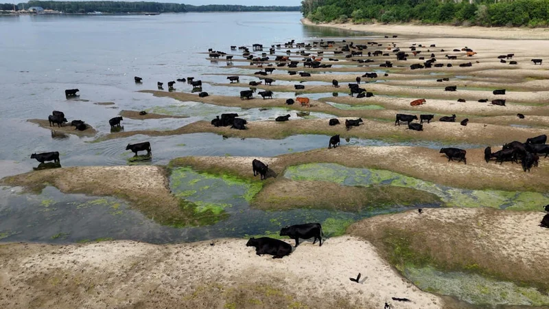Climate change 'exacerbating' drought across Europe, scientists say