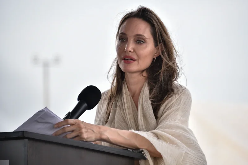 Angelina Jolie among public figures calling for refugee protections to be upheld
