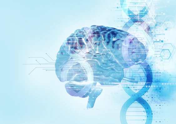 Why Do Psychiatric Disorders Persist in Humans?
