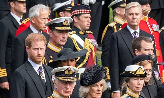 Harry's 'Wasp' retires: The King's aide who prince blamed for being a roadblock in attempts to reconcile with his father retires after 20 years