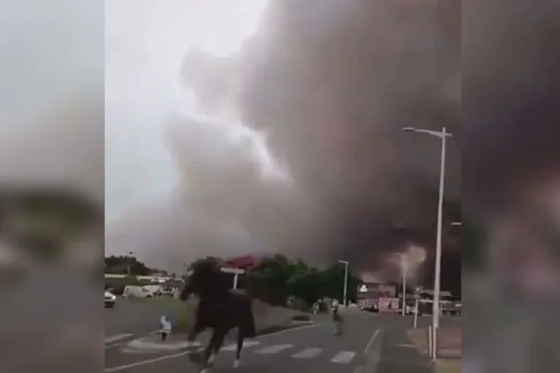 Horses run from thick black smoke as wildfires rage in France