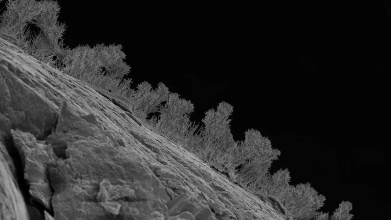 A vast world of rock-eating fungi lurks deep underneath the Great Lakes