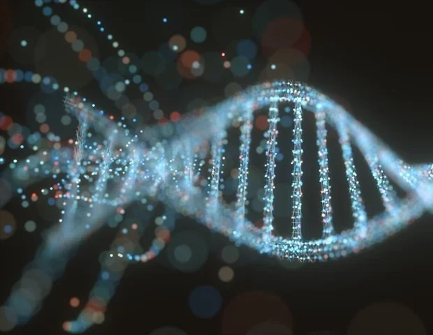 New research explains how embryos establish germline cell boundaries