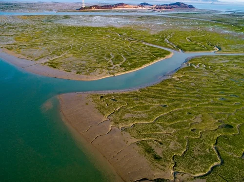 More S. Korean tidal flats gain UNESCO World Heritage status