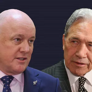 Treaty clause review could be matter of life or death for Māori – Waitangi Tribunal