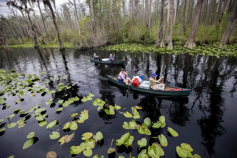 Georgia's Okefenokee Swamp among new additions to join UNESCO's World Heritage List