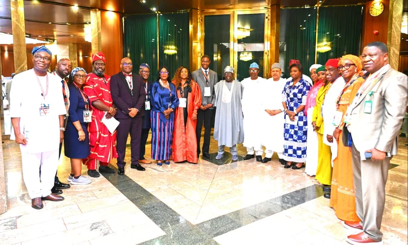 Tinubu urges Nigerian doctors abroad, other medical professionals to return home