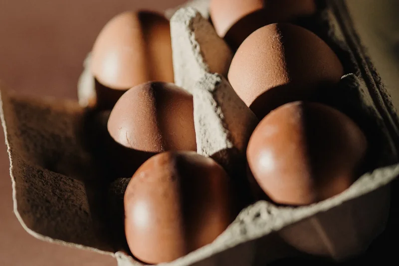 Organic chicken eggs could be worse for the environment, study finds