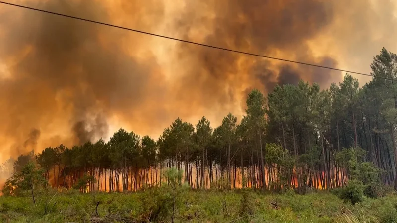 Bordeaux wildfire burns 3,100 hectares, 20,000 evacuated