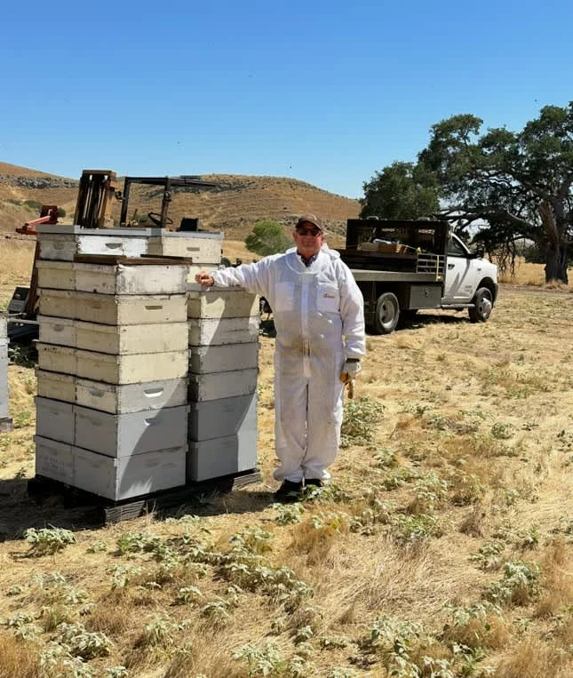 How a 70-year-old beekeeper is keeping his family honey farm afloat: 'It's a legacy that I feel responsible for'