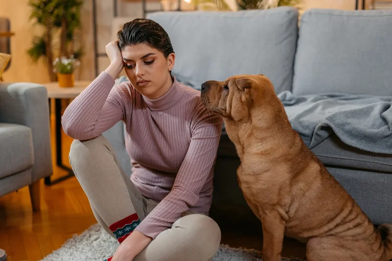 The overlooked stress that comes with owning a pet, according to experts