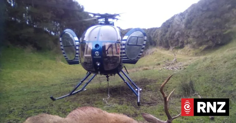 Wild deer increasingly encroaching on farms, moving closer to urban areas, hunter says