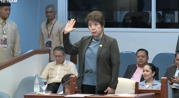 WATCH: House prosecutor Chua presents first Article I witness