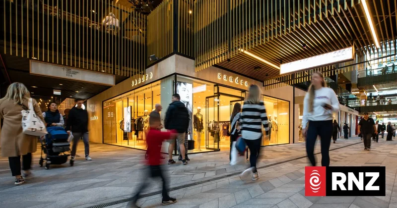 Retailer confidence rebounds, but weak sales and BNPL costs keep pressure on