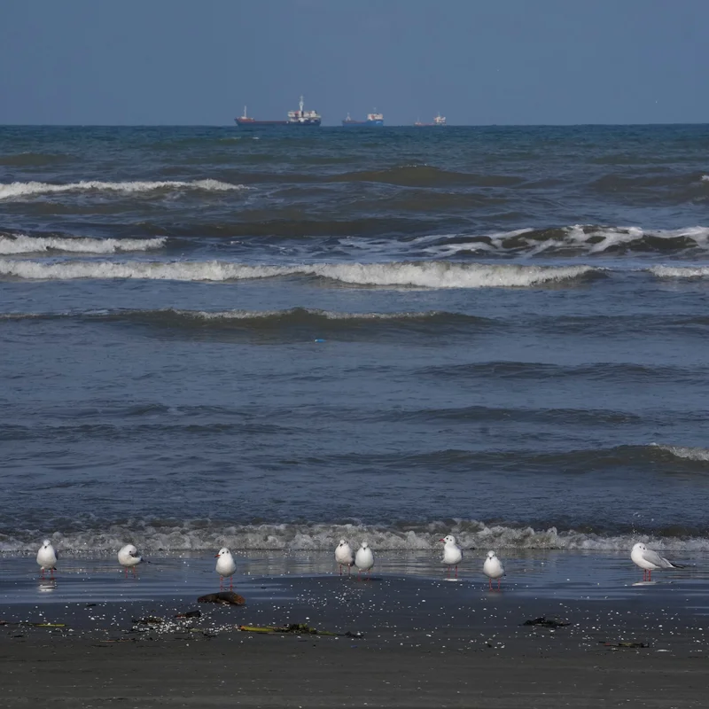 Ukraine’s Strike on an Iranian Ship Could Bring Two Wars Closer