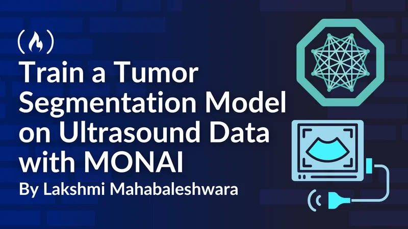 How to Train a Tumor Segmentation Model on Ultrasound Data with MONAI