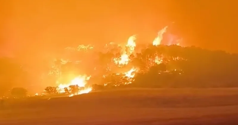 Heatwave drives major wildfires across North Africa